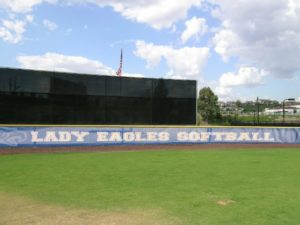 Baseball Windscreens
