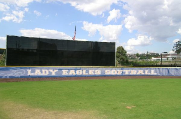 Baseball Windscreens