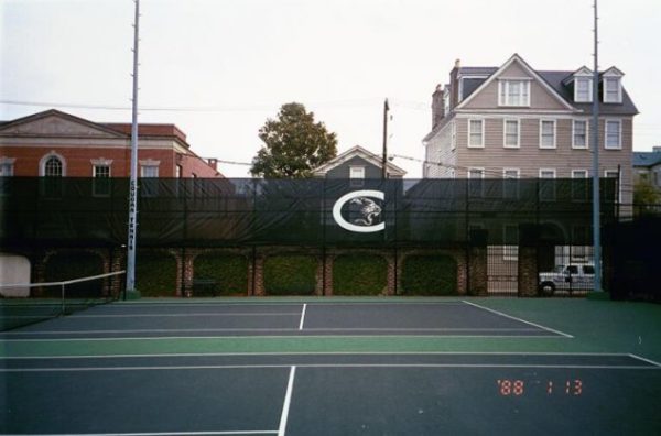 Tennis Windscreens - Image 3