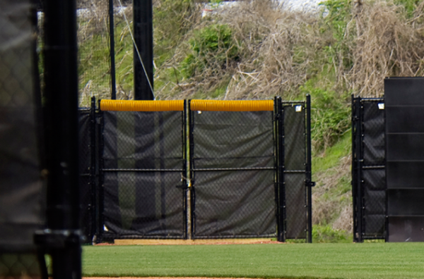 Baseball Windscreens - Image 3