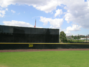 Baseball Batters Eye