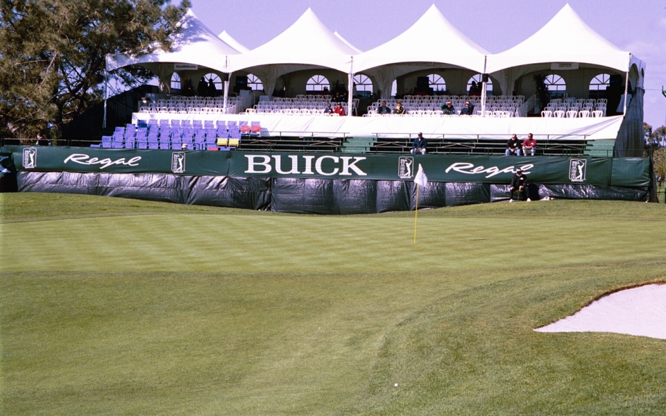 Green With Bleacher