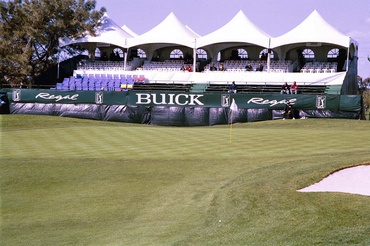 Green With Bleacher
