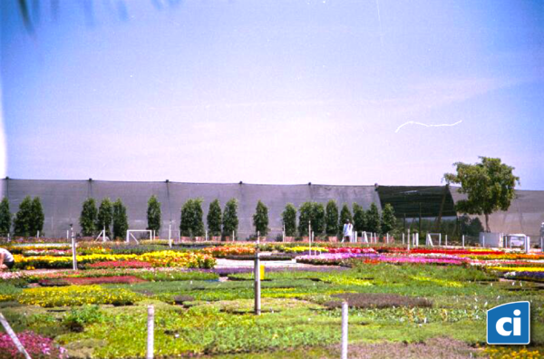 Bird Aviary - Image 3