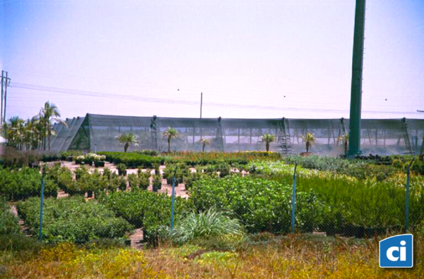 Bird Aviary - Image 2