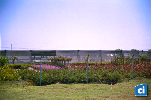 Bird Aviary